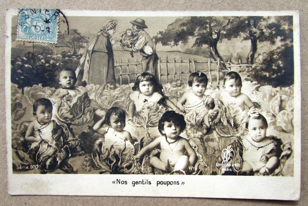 Младенцы в капусте на грядке Франция