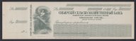 Омск Колчак 1919г Чек Сибирский сельско-хозяйственный банк UNC с в/з Western Bank Note