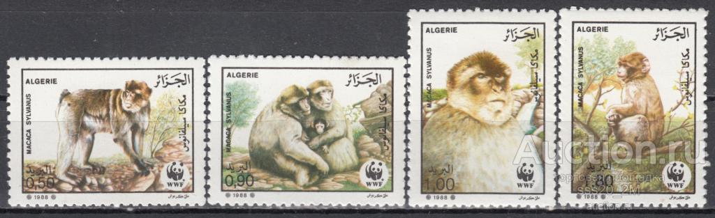 Алжир 1988 магот или магрибский макак Mi972-975 MNH