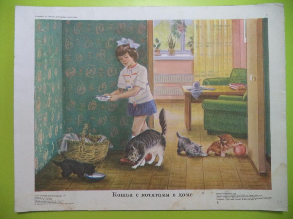 несколько рассказ по картинке кошка с котятами средняя группа основном, плант микс