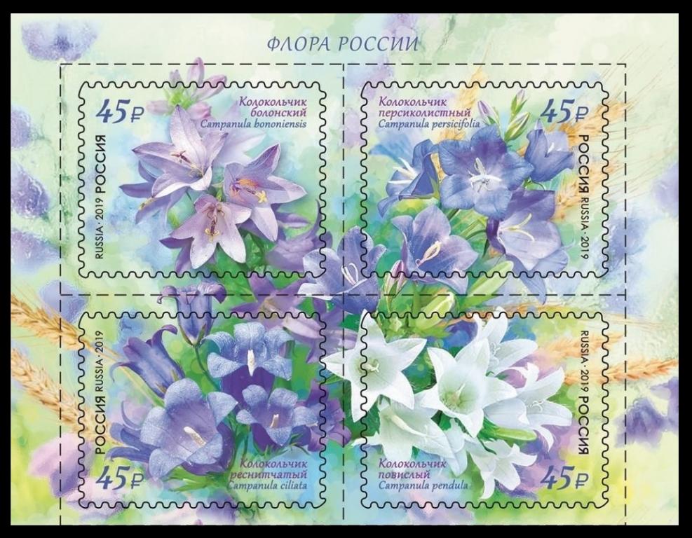 2019 Флора России Колокольчики 2483-2486**
