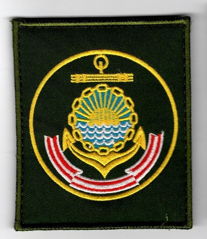 Шеврон ТОФ. Оливковый фон. На липучке.