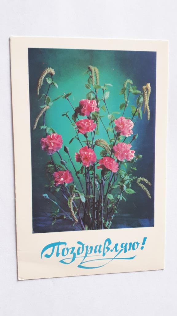 Поздравляю! Худ. Г.Костенко. 1979г.