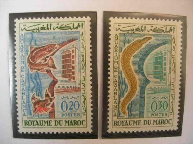 Марокко 1962 аквариум: рыбы MNH