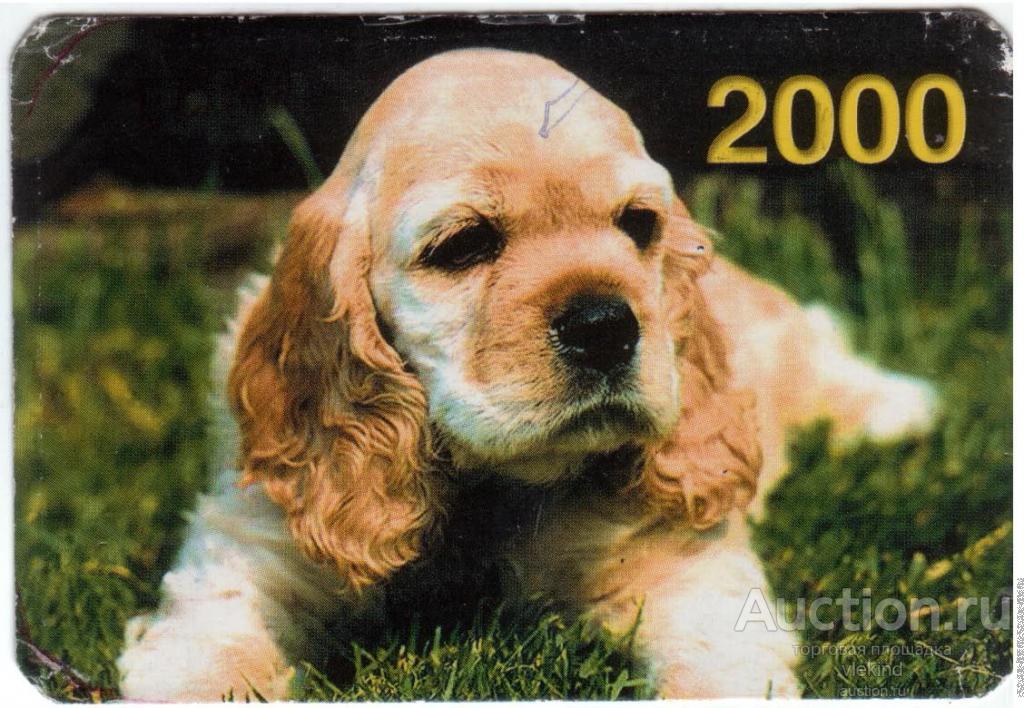 Календарик на 2000 год Собака 5