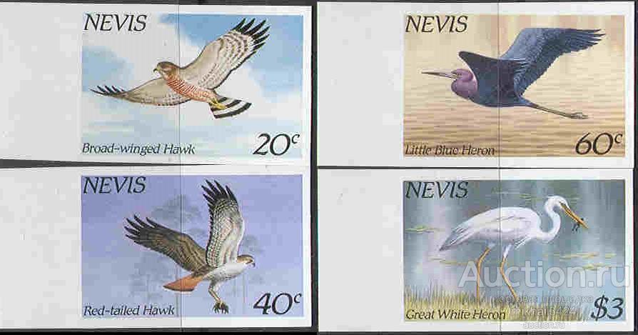 1182 Фауна Птицы 1985 Невис 4м б/з п/с **