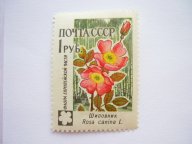 С 1 РУБЛЯ! РАРИТЕТ! МАРКА СССР 1960г. ИЗ СЕРИИ "ФЛОРА" - ШИПОВНИК, 2501А! ЛИН.12,5. R(!!)!