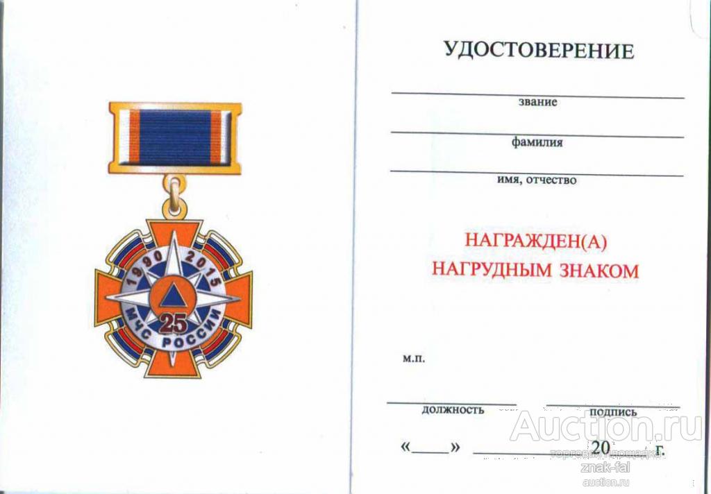 Очерк о достижениях в мчс образец