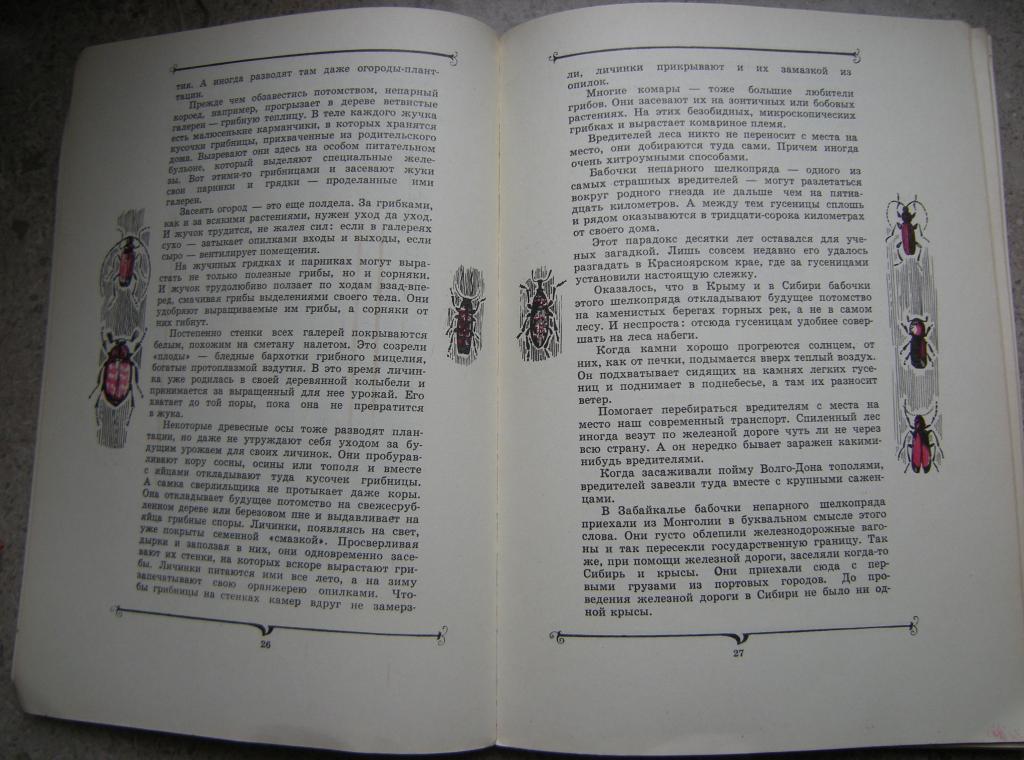 рассказы о само самом. чтение 4 класс в драгунский денискины рассказы. а. рассказы о само самом. пермяка "самое страшное".
