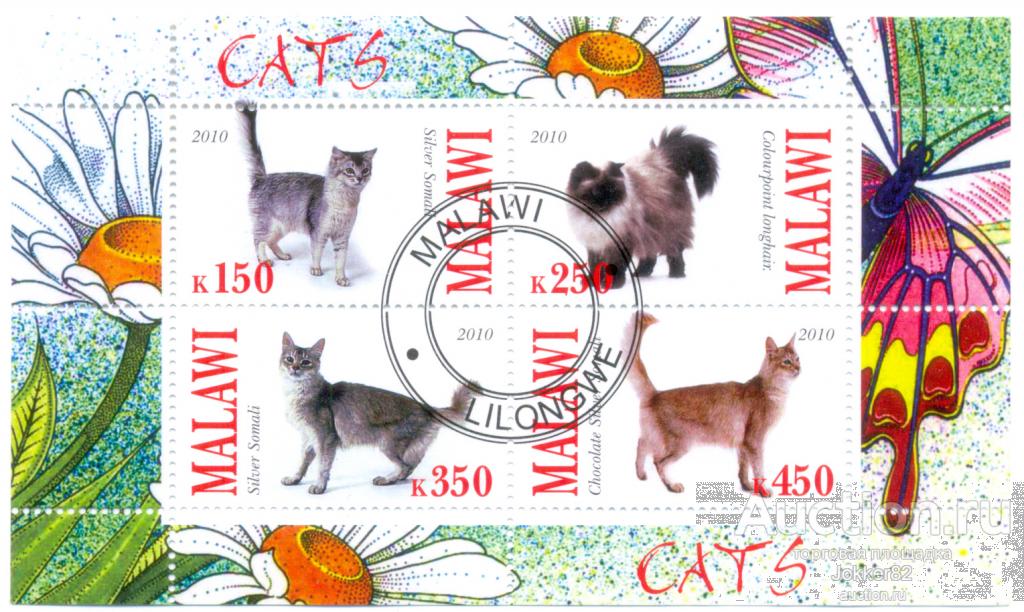 Малави 2010 кошки лот-18434