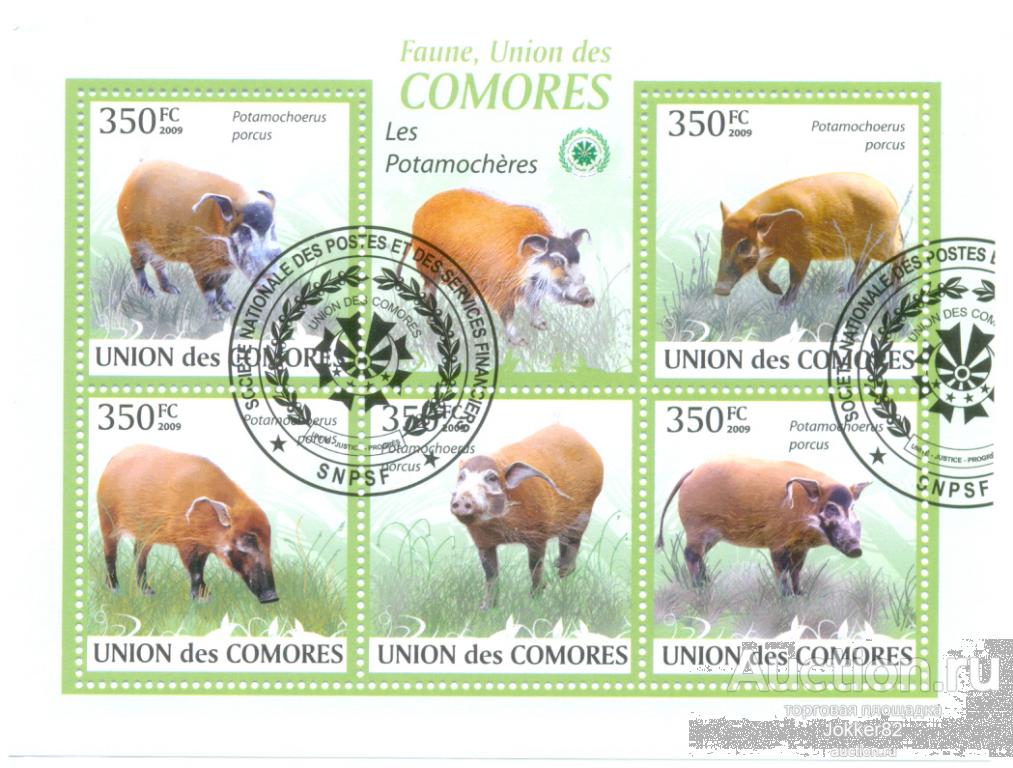 Коморы 2009 свинья лот-18601