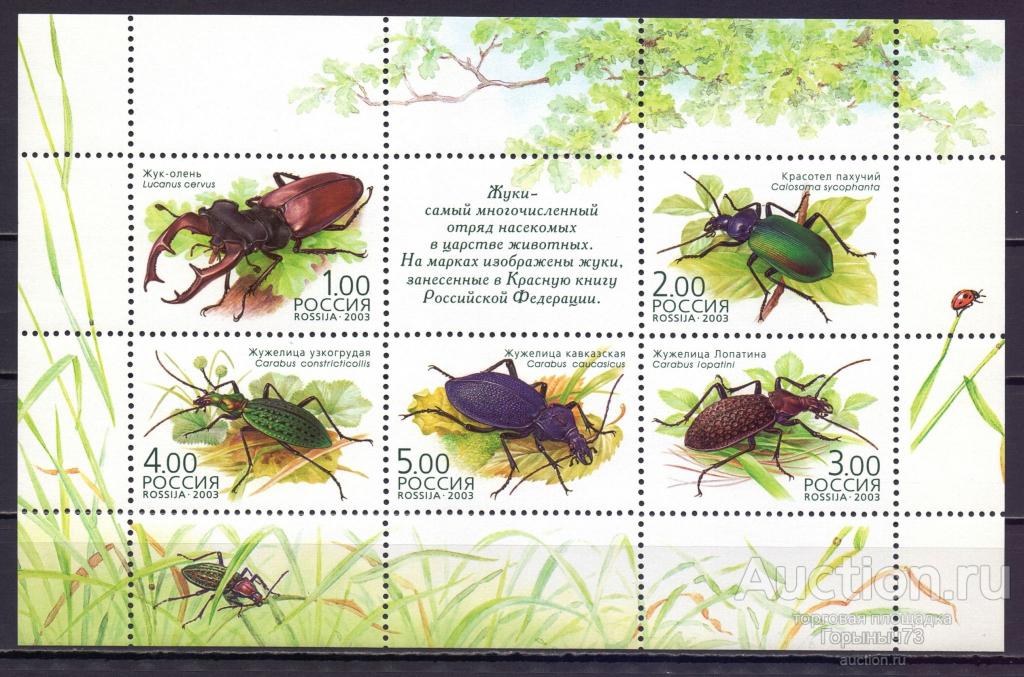 Россия 2003 мл 868-72 MNH