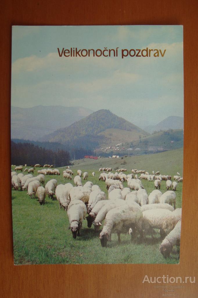 Чехословакия. 80-е годы. Овцы. Овечки. Прошла почту. Марка целая.