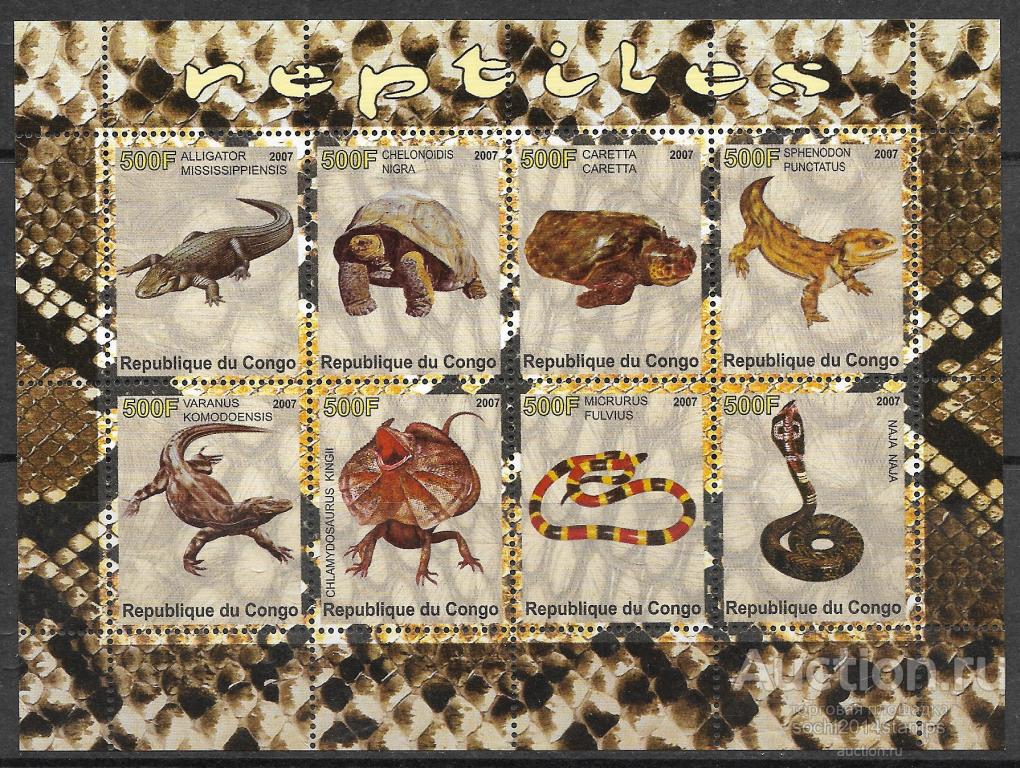 Конго. Рептилии. Крокодил. Черепаха. Змея. Блок