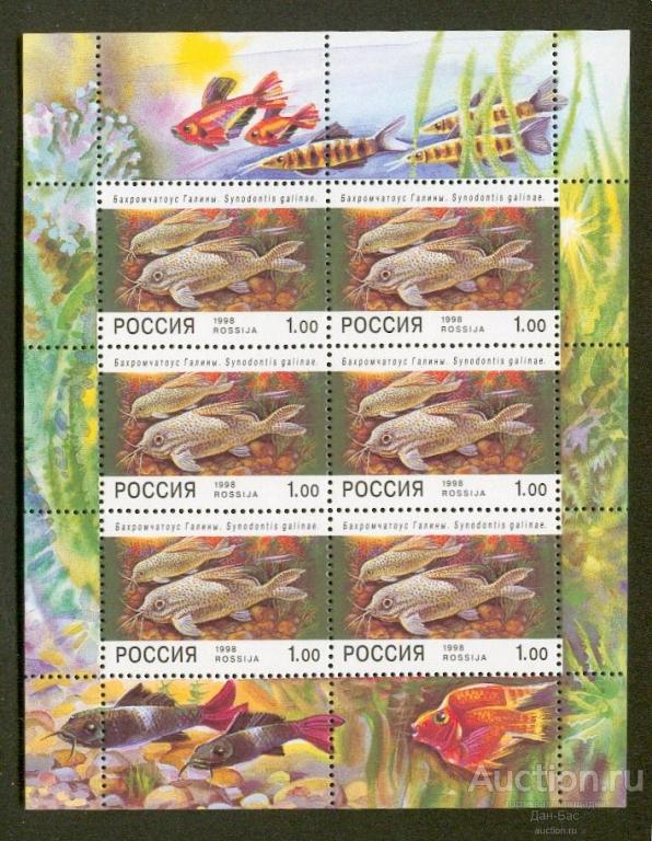 Россия 1998 СК 427 ** МЛ АКВАРИУМНЫЕ РЫБЫ