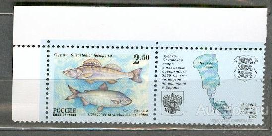 Россия 2000 СК 629 ** РЫБЫ ФАУНА