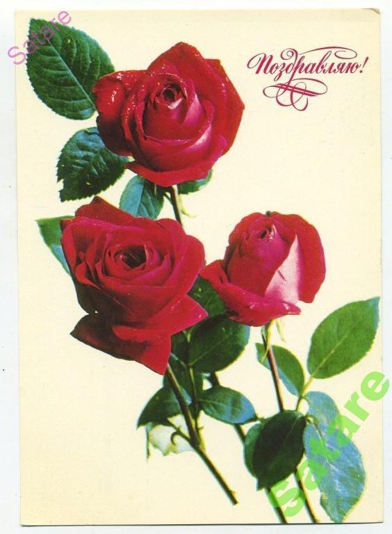 Поздравляю_Костенко Г_1977 год