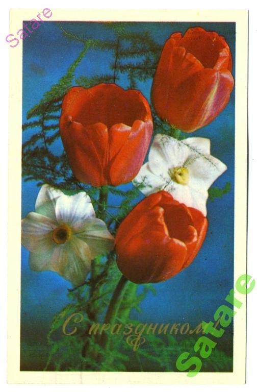 С праздником - Костенко Г - 1975 год  (215)