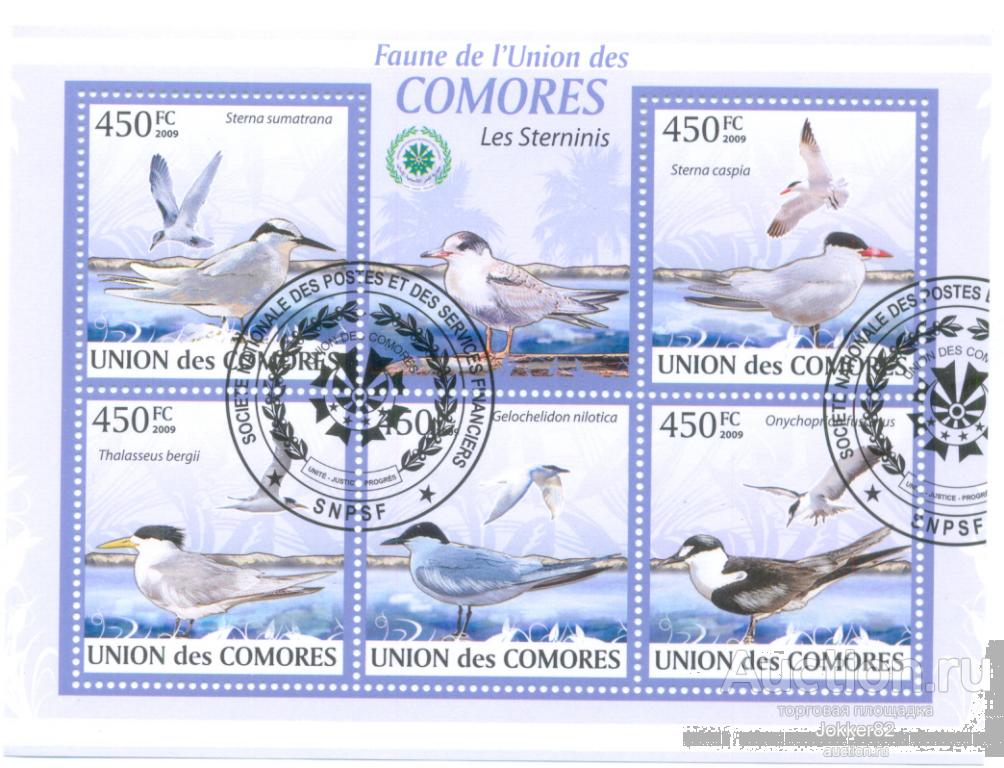 Коморы 2009 птицы лот-18849