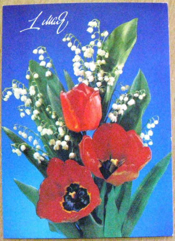 К11-120 МАРКИРОВАННАЯ СССР 03.08.1990, 1 МАЯ, ТЮЛЬПАН, ЛАНДЫШ, ДЕРГИЛЕВ