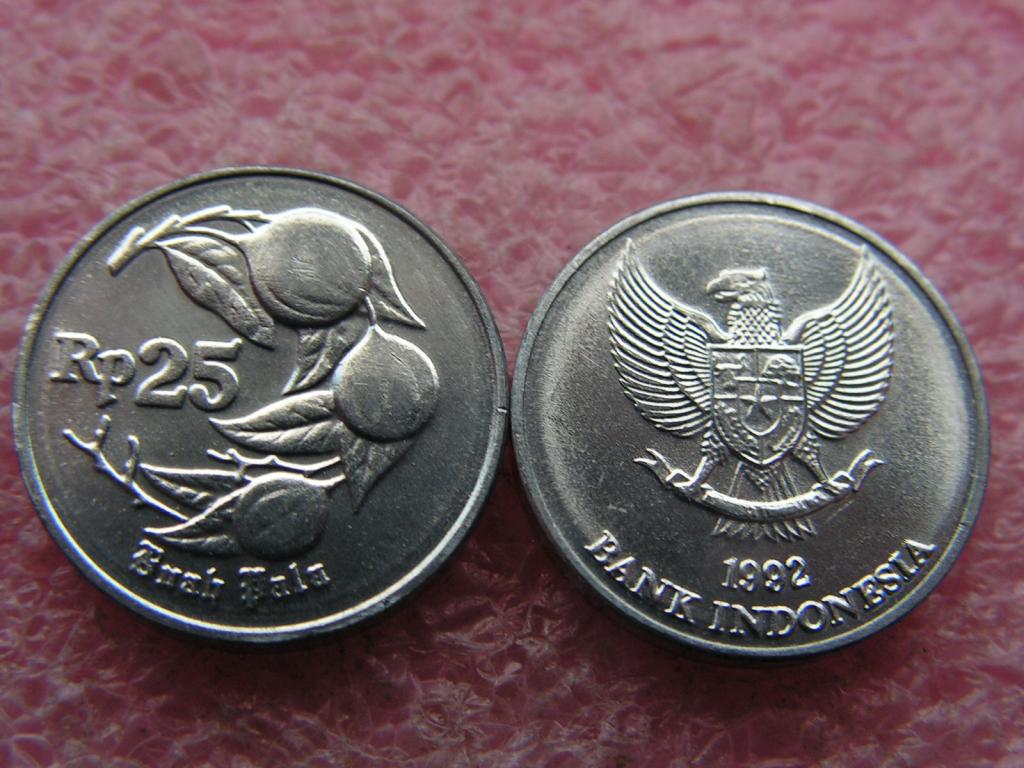 Индонезия 25 рупий 1992 unc