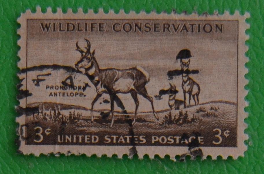 США 1956 г. Сохраняйте дикую природу. Фауна Антилопа Pronghorn.СТО