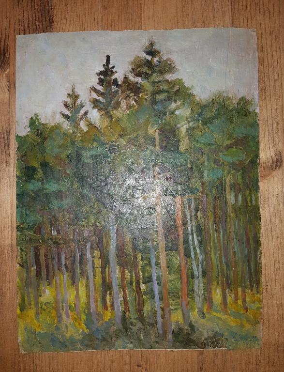 Картина в раме. Лес. Пейзаж. Масло картон. Авторская работа. Худ. Горячев 2005 год. Россия.