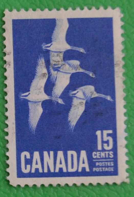 Канада 1963 г. Фауна Птицы Канадские гуси Mich №357 СТО