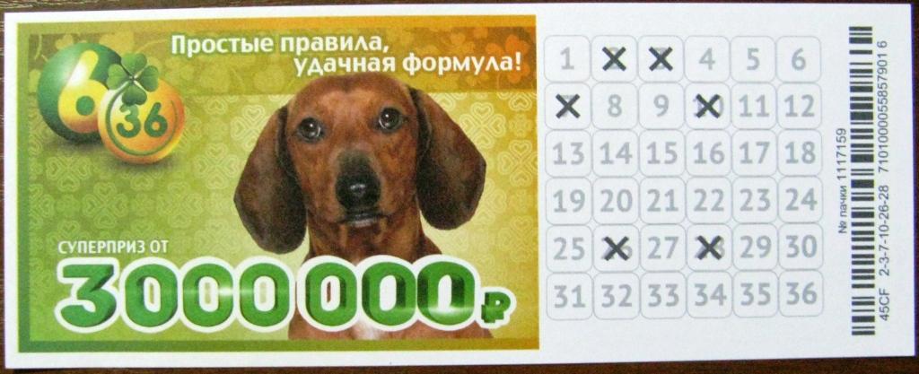 Русское лото столото 6 из 36 лотерея столото скачать