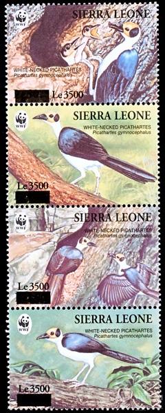 Сьерра-Леоне 2008 WWF пс сц надп MNH 60е кат!!!