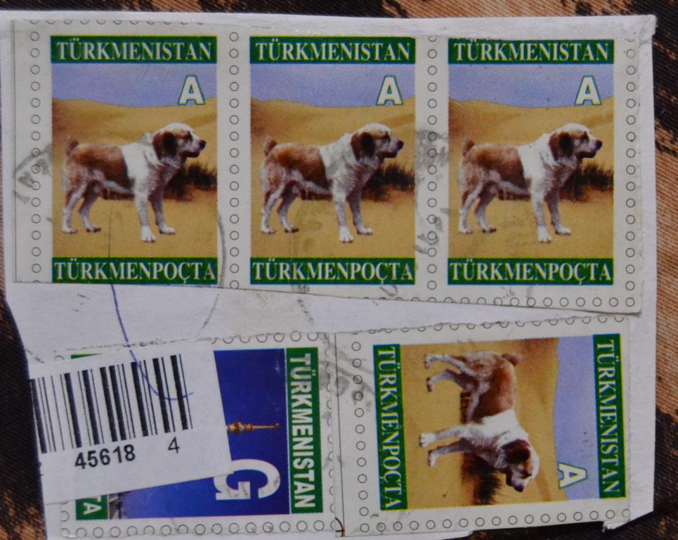 Туркменистан 2004 Стандарт фауна,собака Гашёная вырезка