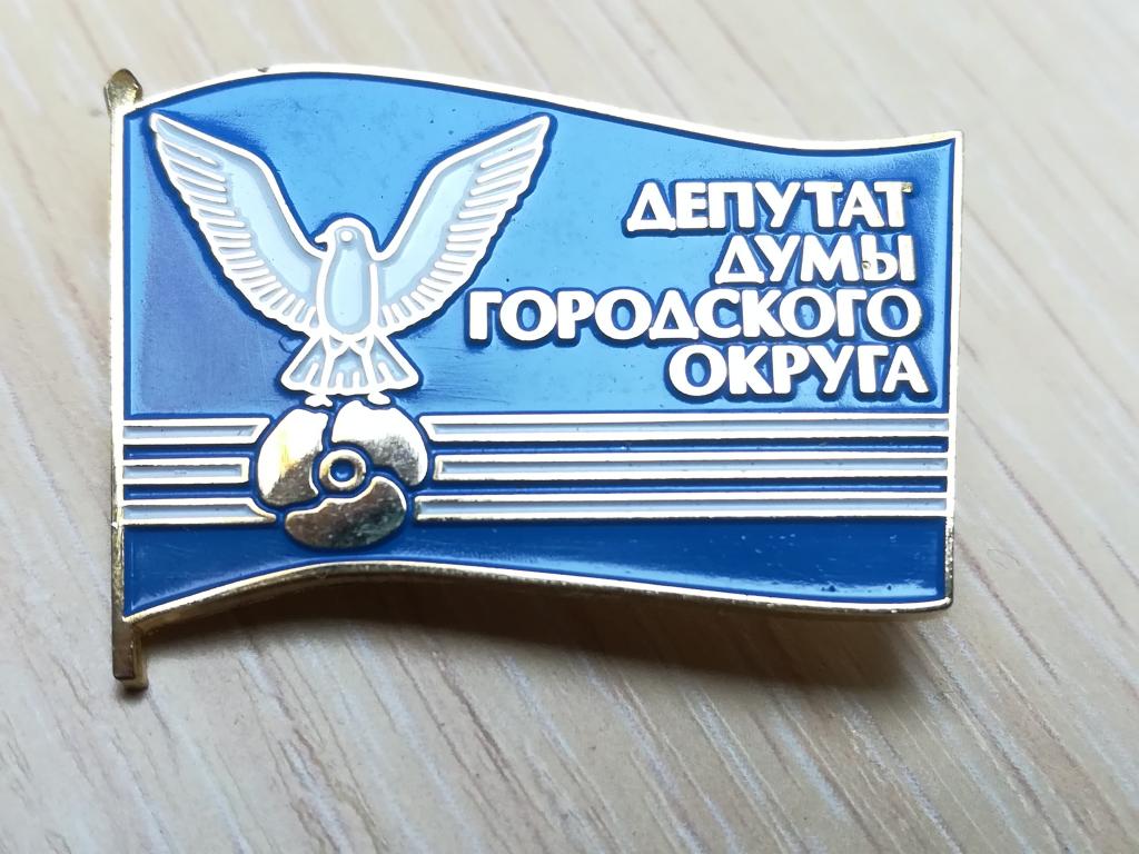 депутат г. Большой Камень