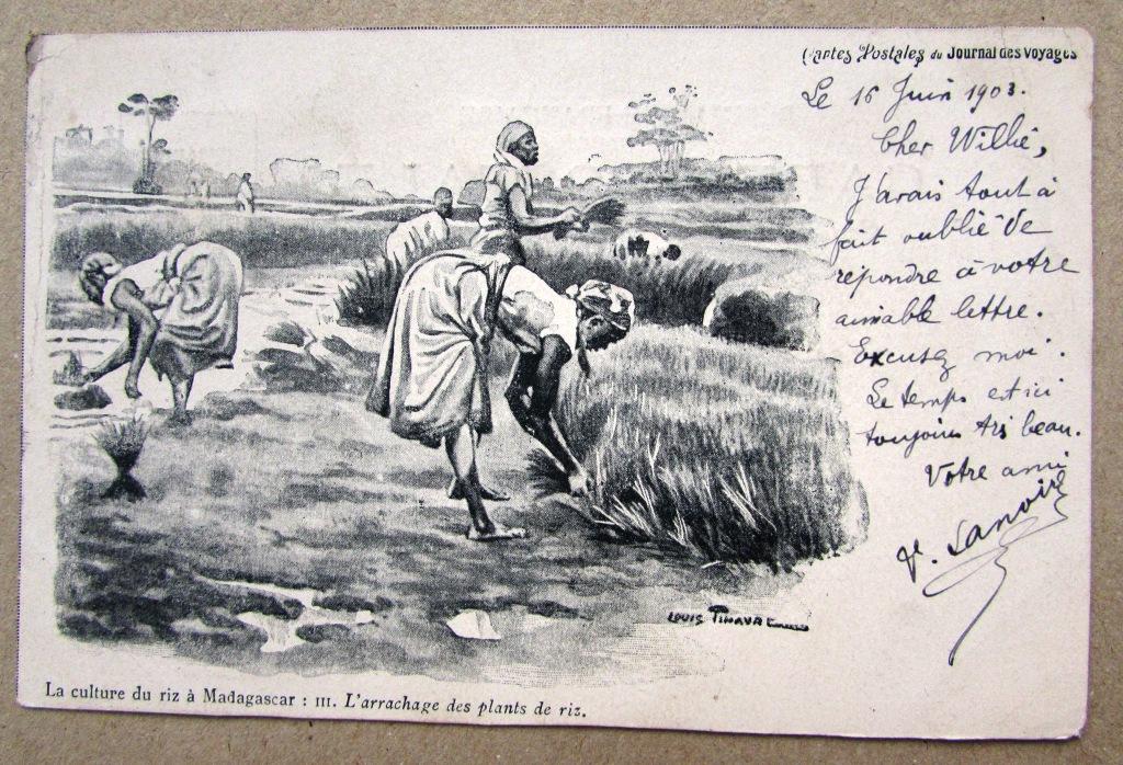 Малагасийские девушки на рисовом поле Франция Штемпель 1903