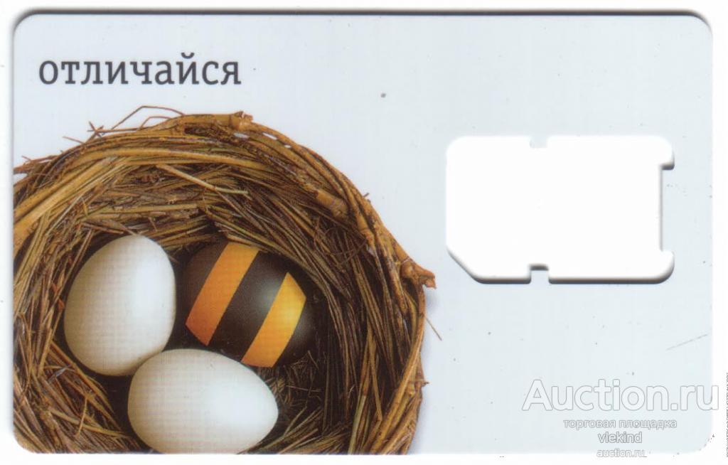 SIM-карта Beeline без симки гнездо