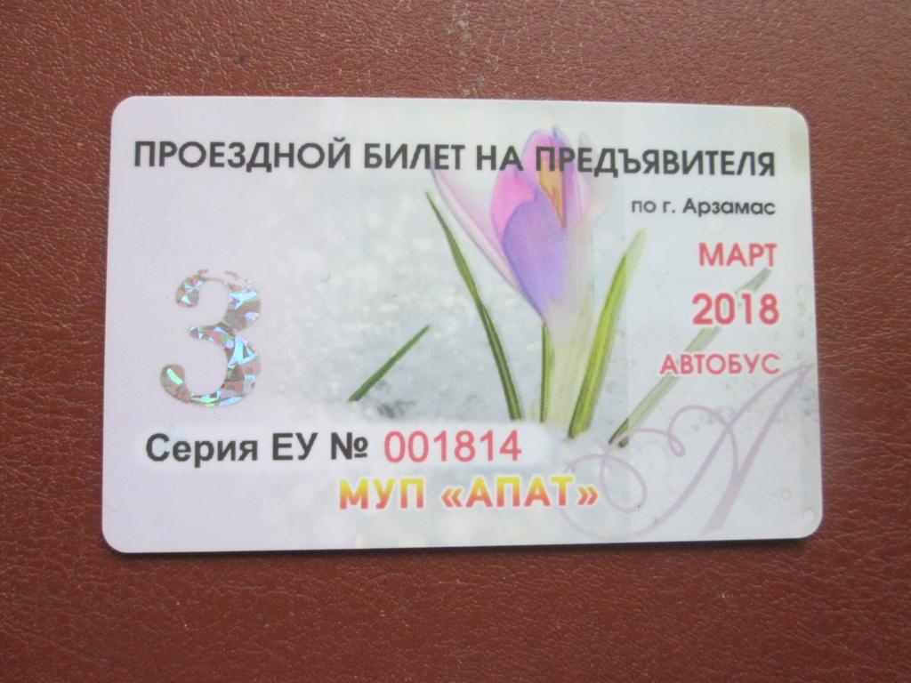 Пластиковые проездные билеты г.Арзамас .Редкость.