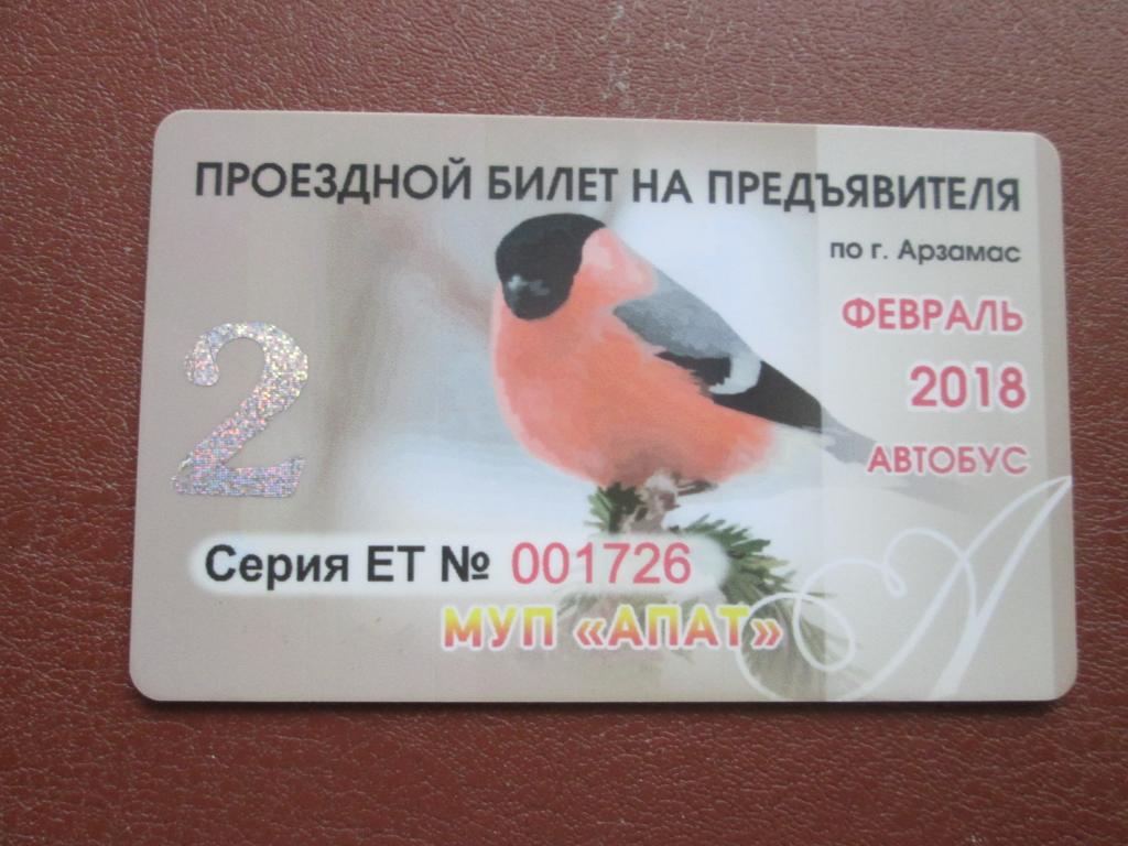 Пластиковые проездные билеты г.Арзамас .Редкость.