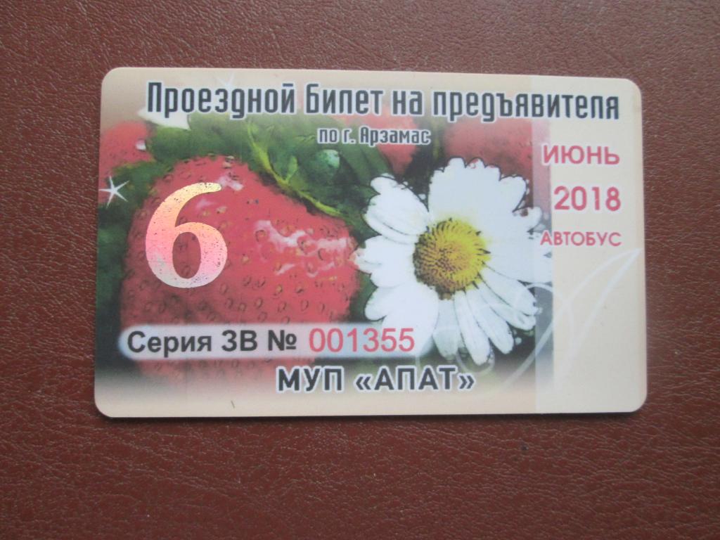 Пластиковые проездные билеты г.Арзамас .Редкость.