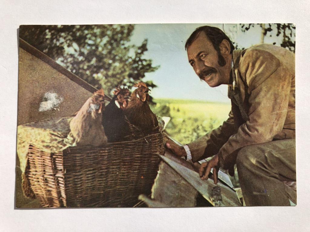 Кадр из кинофильма «Дача». Открытка. 1973 год. Заказ 73-6130