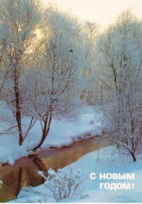 #494409 Костенко П., Костенко П. С Новым годом! Открытка
