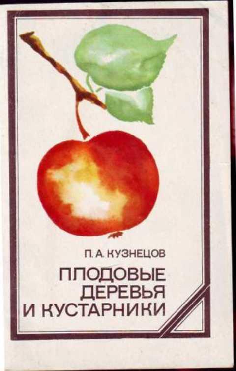 #497868 Кузнецов П. А. Плодовые деревья и кустарники
