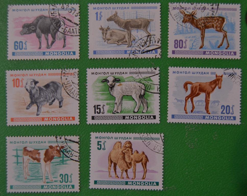 Монголия 1968 г. Детеныши домашних животных Ми № 482-489 СТО