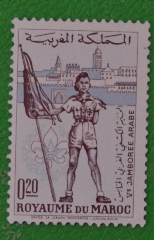 Марокко 1962 г. 5 лет Скаутской организации Марокко MNH