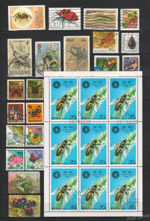 Подборка Насекомые бабочки пчелы жуки. 21 м и лист. 