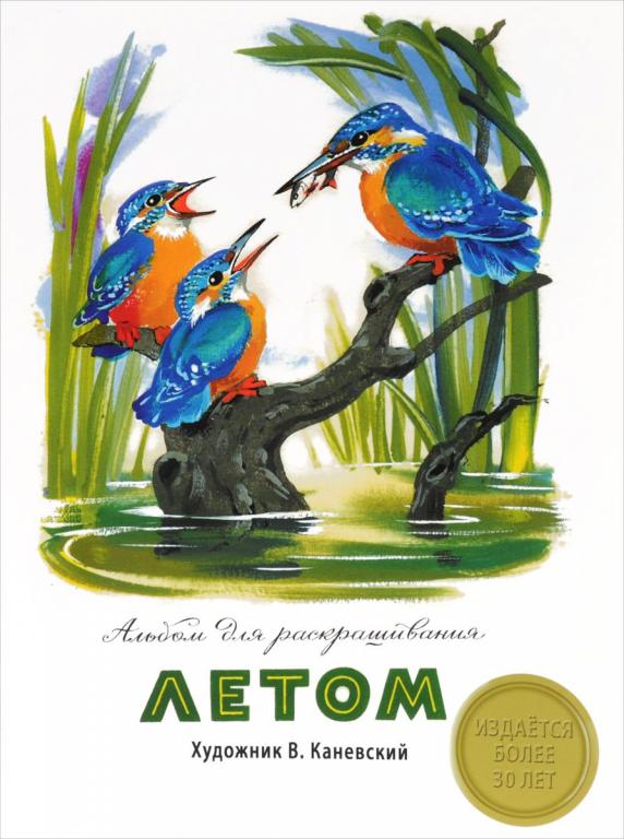 Летом. Альбом для раскрашивания (раскраска) Худ. Каневский