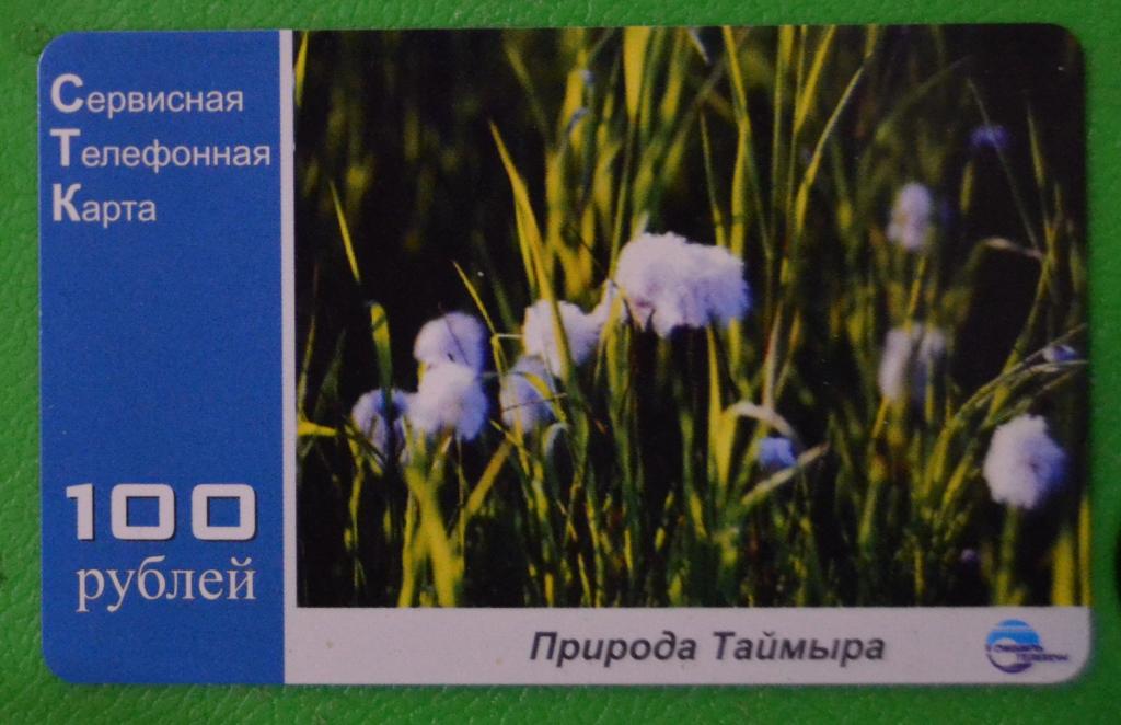 Телефонная карта СТК Норильск .Природа таймыра  Цветы 100 руб - 1