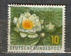 Германия 1957 флора