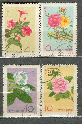 Корея флора 1965