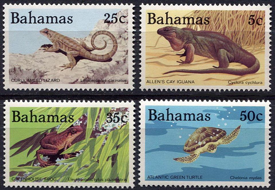 1985 г Багамы Фауна Рептилии Амфибии MNH чист