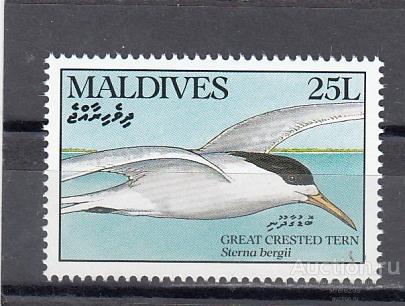 MALDIVES МАЛЬДИВЫ Птицы Чайка № 1434   1990 Сост**