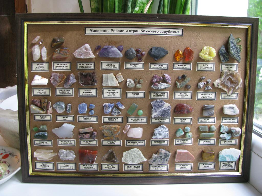 Начинающие коллекционеры. Коллекция "минералы и горные породы" (поделочные камни). Витрина для коллекции камней. Коллекционирование камней и минералов. Подставка для коллекции камней.